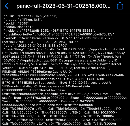 lỗi panic full iphone