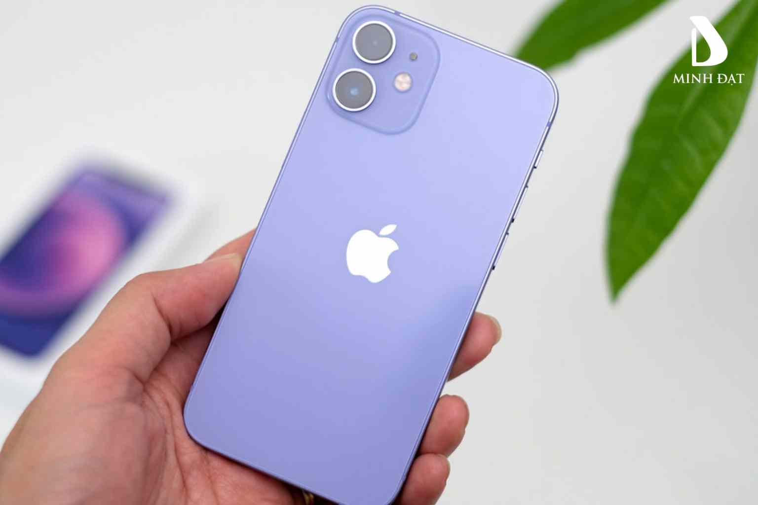 iPhone 12 cũ giá rẻ bạn nên mua