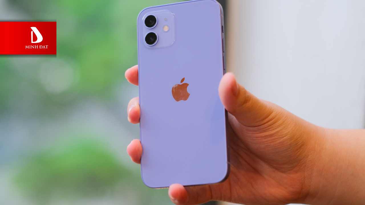 Top 4 Mẫu iPhone Cũ Đáng Mua Nhất Tầm Giá 7 Triệu