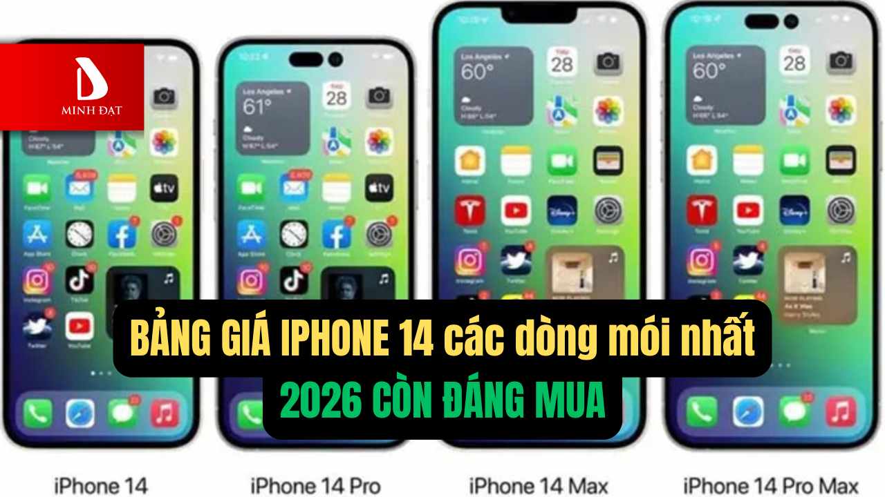 iPhone 14 Series cũ Hải Phòng - Chi tiết bảng giá các dòng? Liệu còn đáng mua