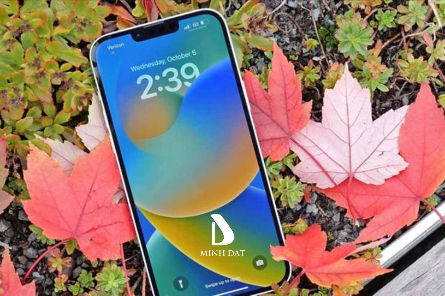 iPhone nào được học sinh mua nhiều nhất? Đáp ứng học tập và giải trí