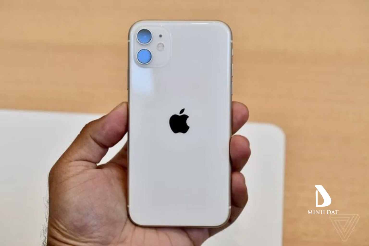 iPhone 11 – Lựa chọn phổ biến cho học sinh, hiệu năng đủ mạnh