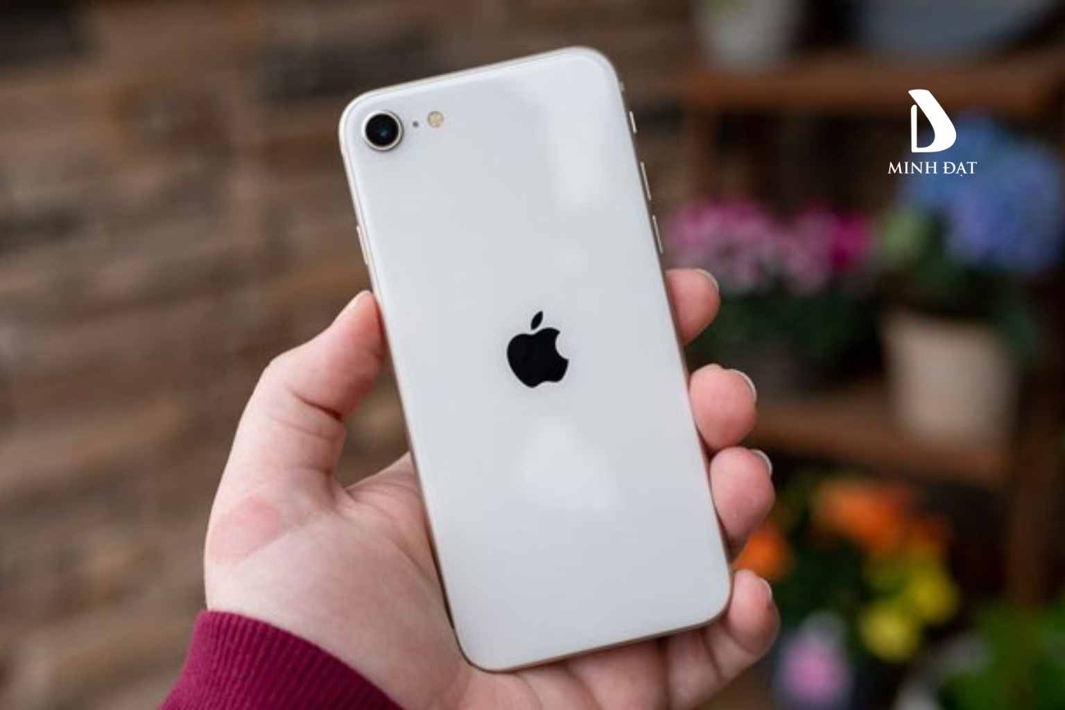 iPhone SE (2020) – Nhỏ gọn, hiệu năng mạnh mẽ