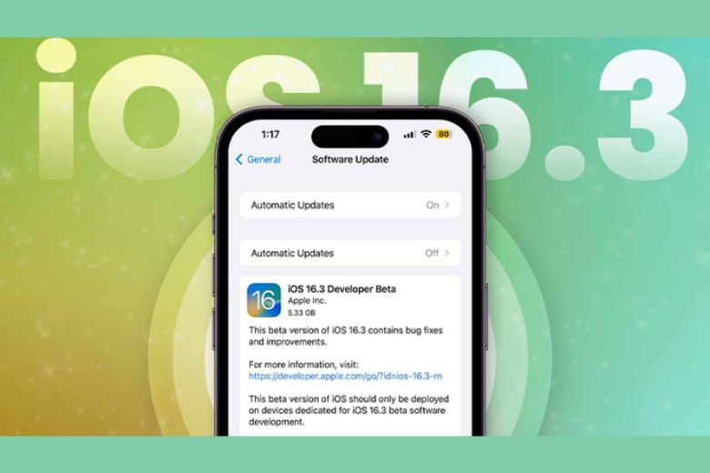 bản cập nhật IOS 16.3.1