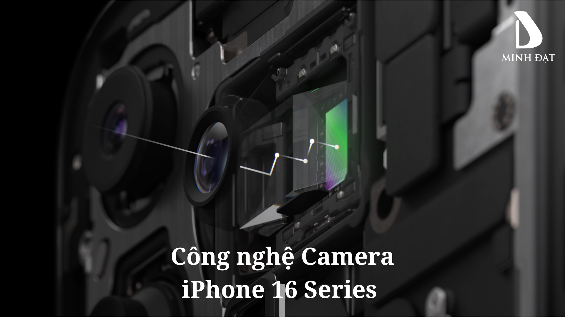 iPhone 16 Series