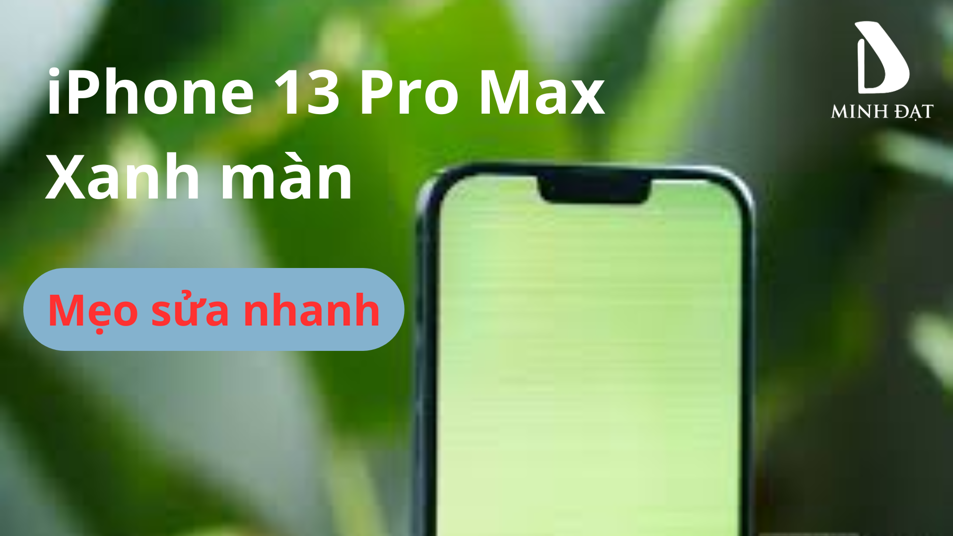 Không còn bị lỗi xanh trắng màn iPhone 13 Pro Max nhờ cách thức này